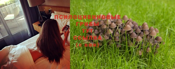PSILOCYBIN Бронницы