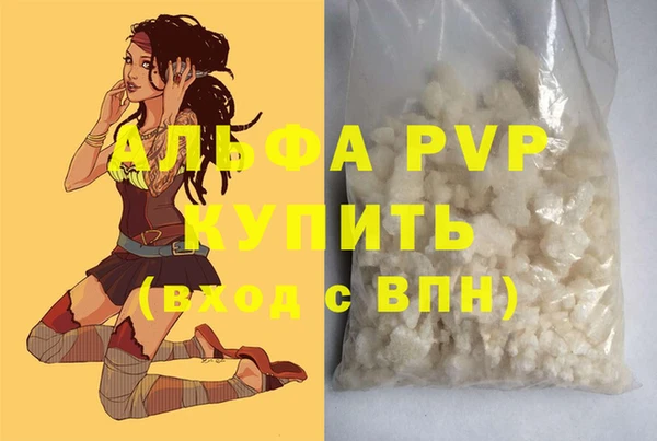 PSILOCYBIN Бронницы