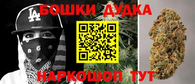 прущие грибы Кандалакша