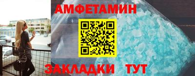 прущие грибы Кандалакша