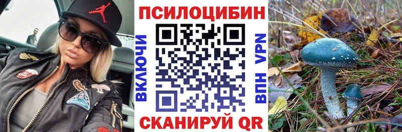 ОМГ ОМГ сайт купить наркотики сайты Гусев Псилоцибиновые грибы прущие грибы