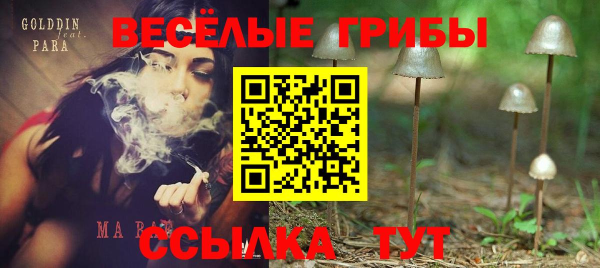 Галлюциногенные грибы мицелий  Вход с VPN  Гусев 