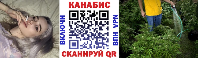 Бошки марихуана ГИДРОПОН наркошоп Гусев
